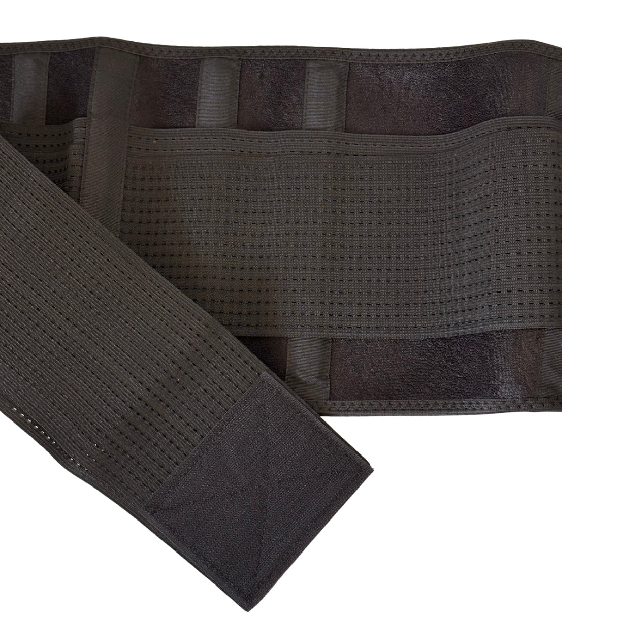 ELK Sweat Belt